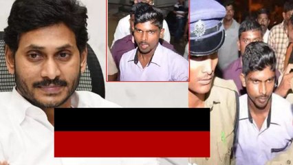 Ys Jagan పై కోడి కత్తి దాడి చేసిన శ్రీనుకు.. ఐదేళ్లకు Highcourt లో బెయిల్ | Telugu Oneindia