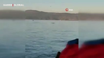 Yunusların dansı cep telefonu kamerasına yansıdı