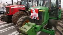 Manifestación de agricultores en Ciudad Real