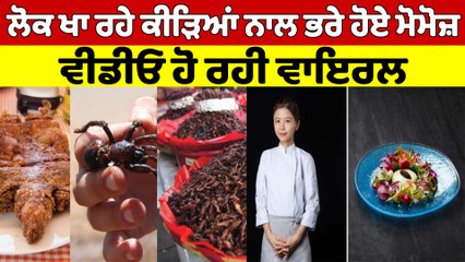 ਲੋਕ ਖਾ ਰਹੇ ਕੀੜਿਆਂ ਨਾਲ ਭਰੇ ਹੋਏ ਮੋਮੋਜ਼, ਵੀਡੀਓ ਹੋ ਰਹੀ ਵਾਇਰਲ |OneIndia Punjabi