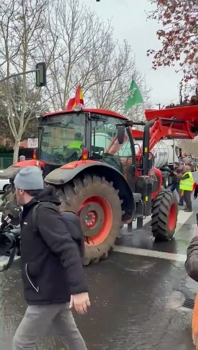 Impactante imagen de un camión cisterna vaciando orina de ganado en plena calle en Ciudad Real