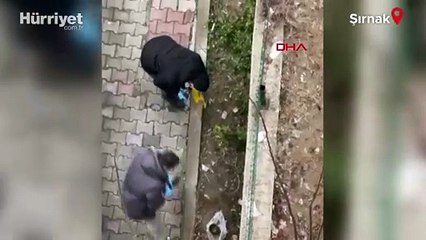 Şırnak'ta, site bahçesinde 1'i patlamamış 2 top mermisi bulundu