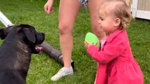 Doggo feels the urge to channel its inner offensive tackle while playing with toddler