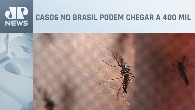 São Paulo registra 34.995 casos de dengue e 6 óbitos