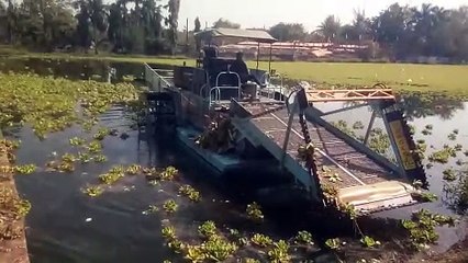 शहर के अन्नपूर्णा तालाब से हटा रहे जलकुंभी