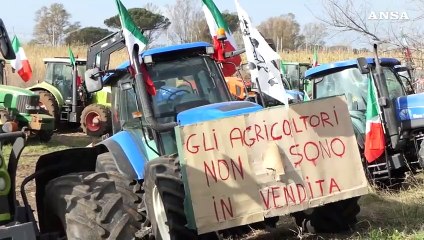 Trattori, le voci dal presidio alle porte di Roma: "Chiediamo un prezzo equo"