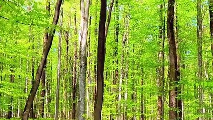 Karina - Princessa , Camila Dorez - Relationship, Mario Joy - Follow Your Dr