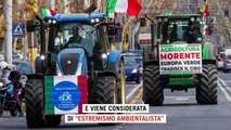 Rivolta degli agricoltori, dal fisco ai cibi sintetici, al carburante: le ragioni della protesta