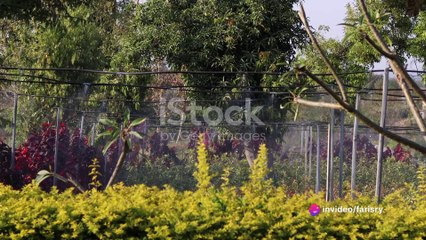 The Green House Effect_ A Detailed Overview