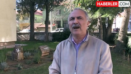 Yol yapımı sırasında bulunan 10-16 milyon yıllık ağaç fosilleri koruma altına alındı