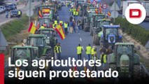 Hasta cuándo durarán las protestas de los agricultores: las fechas previstas de los cortes