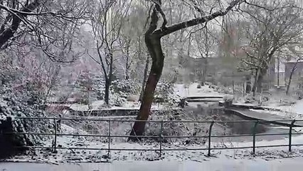 The People's Park, Halifax