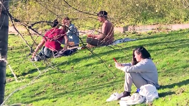 Uno de cada 4 jóvenes dice sentirse solo y el 70% sufre o ha sufrido soledad no deseada