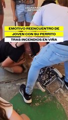 Emotivo reencuentro de un joven con su perrito