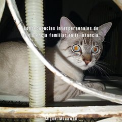 Miguel Mouawad- Consecuencias duraderas: