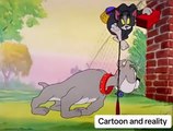 ❤️✨Déssin animé Cartoon VS Réalité✨❤️ABONNES-TOI STP MERCI❤️