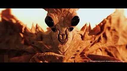 Raça Alienígena de Insetos - Insectóides #projetoufo #EP004