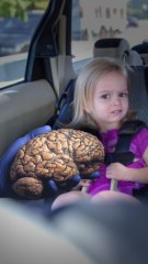 Pourquoi notre cerveau est si moche ?