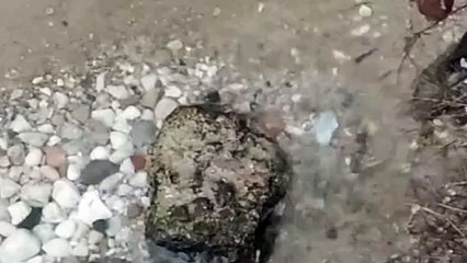 Water as the Source of Life