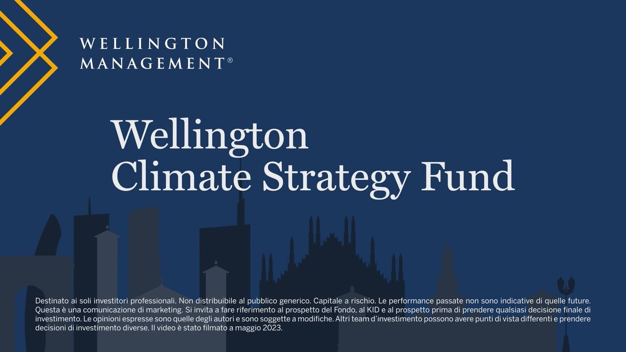 Wellington - Climate Strategy Fund