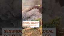 Jovem se emociona ao reencontrar cão que havia sumido em incêndios florestais no Chile #shorts