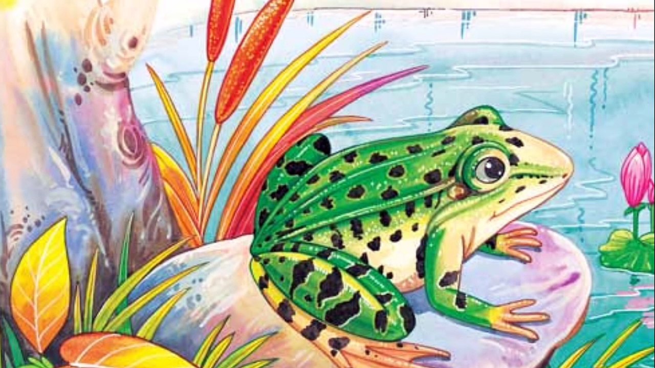 Bed time story||A mouse and a Frog