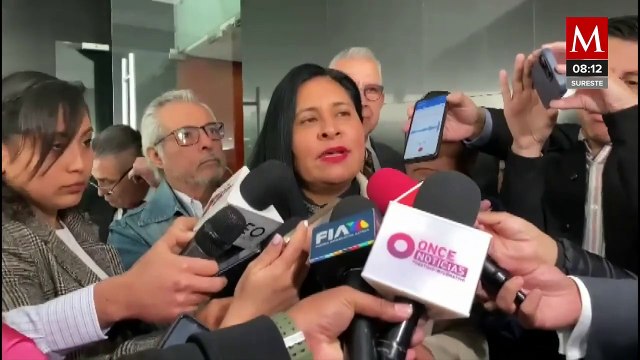 Ana Lilia Rivera dice que se tendrán que mover puntos y comas en discusión de reformas de AMLO