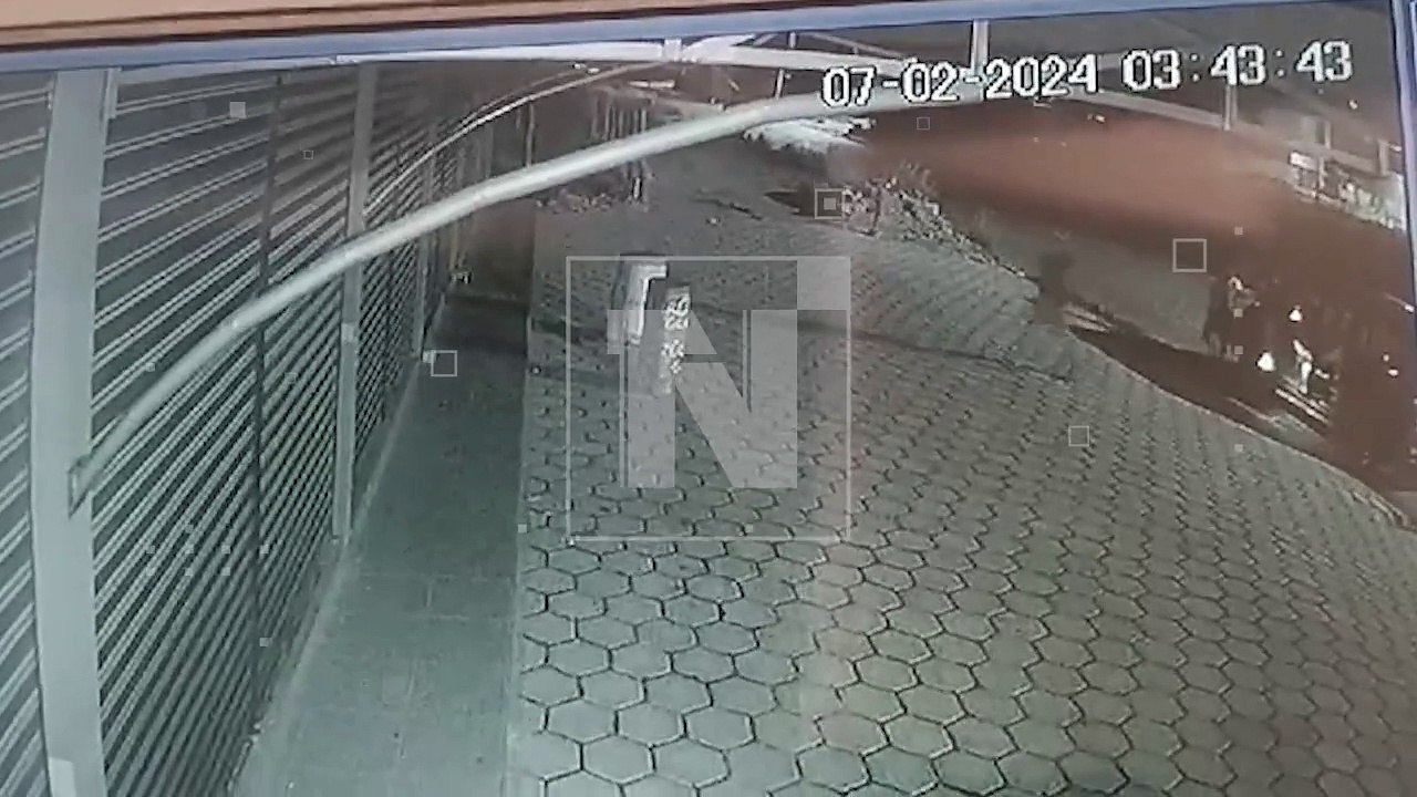 Roban tronco para machucar coca