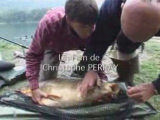 Dream Session - Tome II