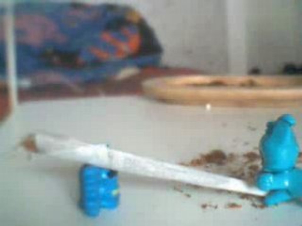 kinder  surprizz
