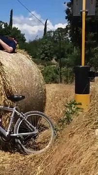 La Puglia a Sanremo, un fantastico video omaggia gli artisti pugliesi protagonisti