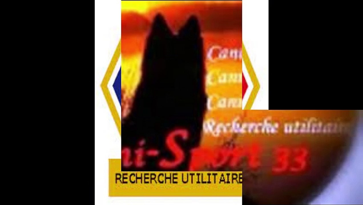 Hollandais le 24_01_ 24