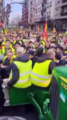 Colère des agriculteurs en Espagne: les images des centaines de tracteurs dans les rues de Barcelone