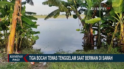Penyebab 3 Bocah Tewas Tenggelam saat Bermain di Sawah