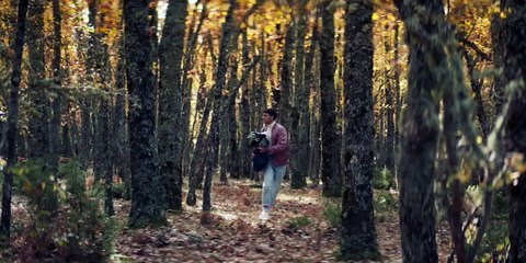 Hay algo en el bosque | show | 2024 | Official Trailer