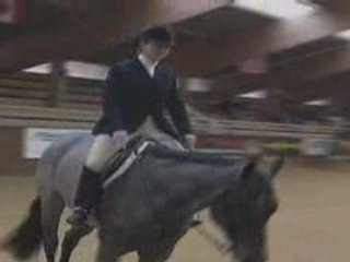 Galops 7 : Preparation aux examens de la FFE