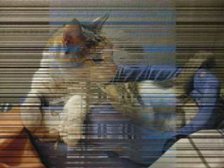 Recopilación Mi Taller 2