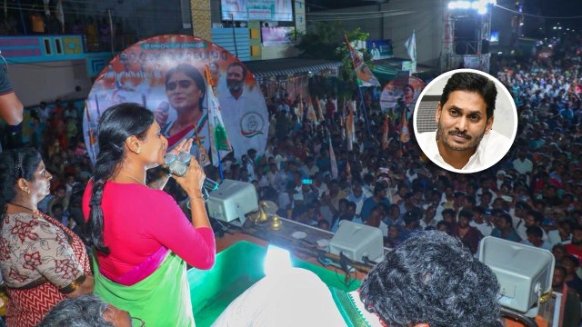 YSRCP Leader's అందరూ Paytm Batch - Ys Sharmila డైరెక్ట్ ఎటాక్ | Telugu Oneindia
