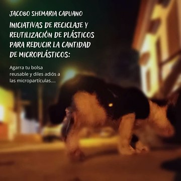 -Jacobo Shemaria Capuano- Iniciativas de reciclaje y reutilización de plásticos para reducir la cantidad de microplásticos: (Parte 1) (Creado por @JacoboShemariaCapuano)