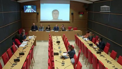 Modèle économique des crèches et qualité de l’accueil des jeunes enfants : Auditions diverses - Mercredi 7 février 2024