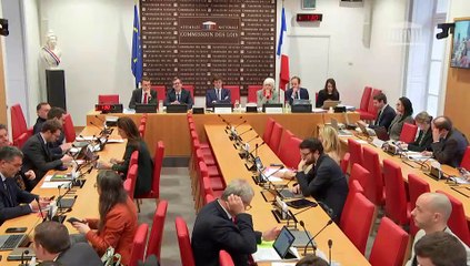 Commission des lois : Renforcer la lutte contre les dérives sectaires  - Mercredi 7 février 2024