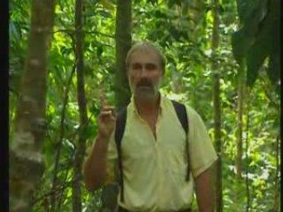 Guadeloupe : 3 randonnees