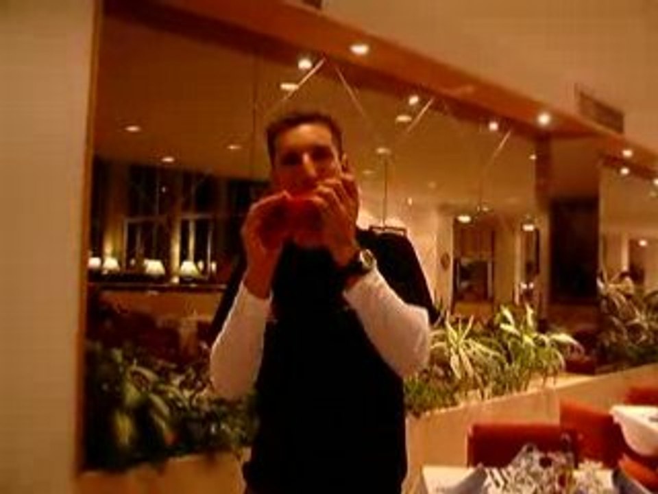 Mathieu Drujon