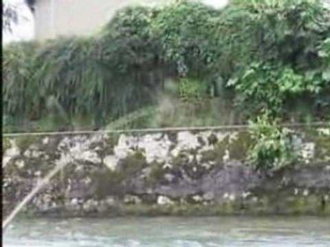 Grosses truites d'automne