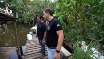 Migrants, Organized Crime Networks- Border Patrols - Mexico, Brazil