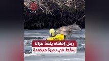 رجل إطفاء ينقذ غزالا سقط في بحيرة متجمدة