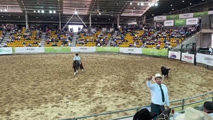 Call Me Daddy sells on day two of the Nutrien Classic sale