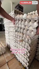 Marketlere satışa çıkarılmak için hazırlanan yumurtaların arasından civciv çıktı