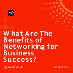 Orange White Modern Professional  benefit of Networking in Business Instagram carousel (2) (1)