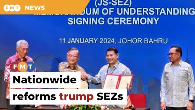 Nationwide reforms better than special economic zones, says economist